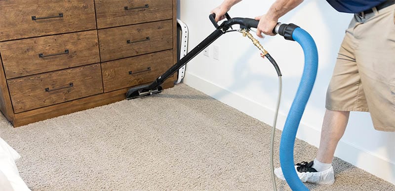 Steam Extraction vs. Dry Surface Powder Compound Cleaning: Premier Carpet Cleaning Service in Oakland County, MI